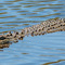 Serengeti - Lake Magadi